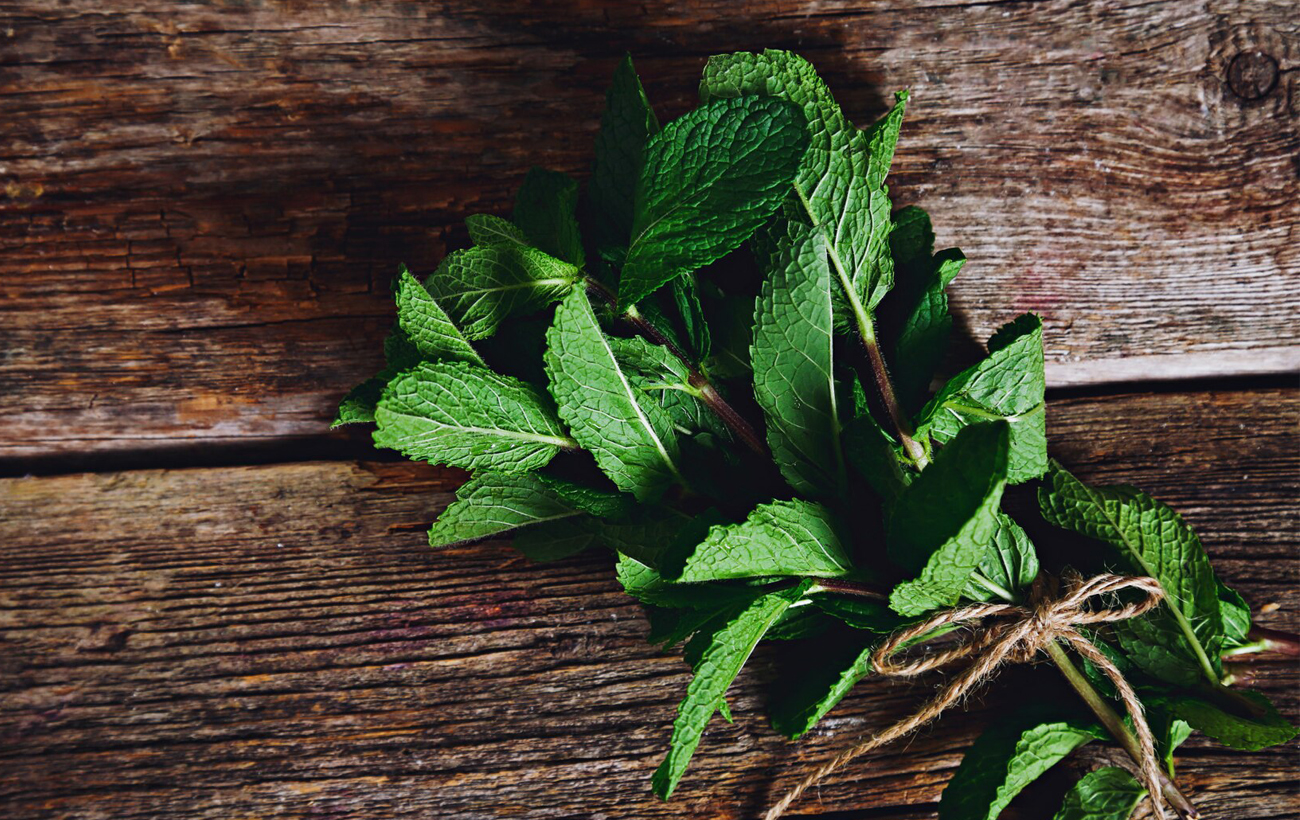 12 рослин, які найкраще відлякують комарів влітку